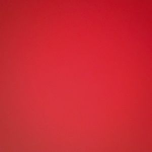 Meet your Posher, Tyson